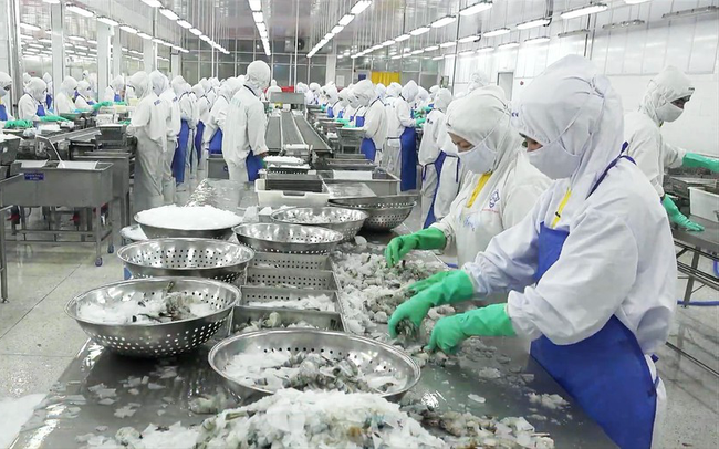 Doanh nghiệp thủy sản thêm gánh nặng về “nghĩa vụ môi trường” - Trung tâm  Xúc tiến Thương mại, Du lịch và Đầu tư Đồng Tháp